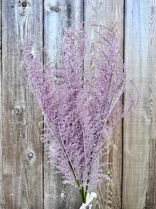 PHOENIX TAIL FERN  84099-LV