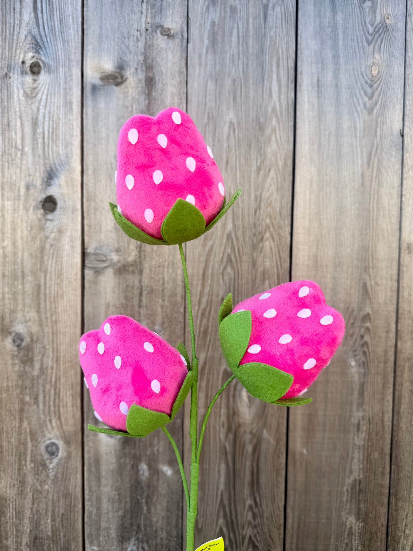 Strawberry Spray   63909PK