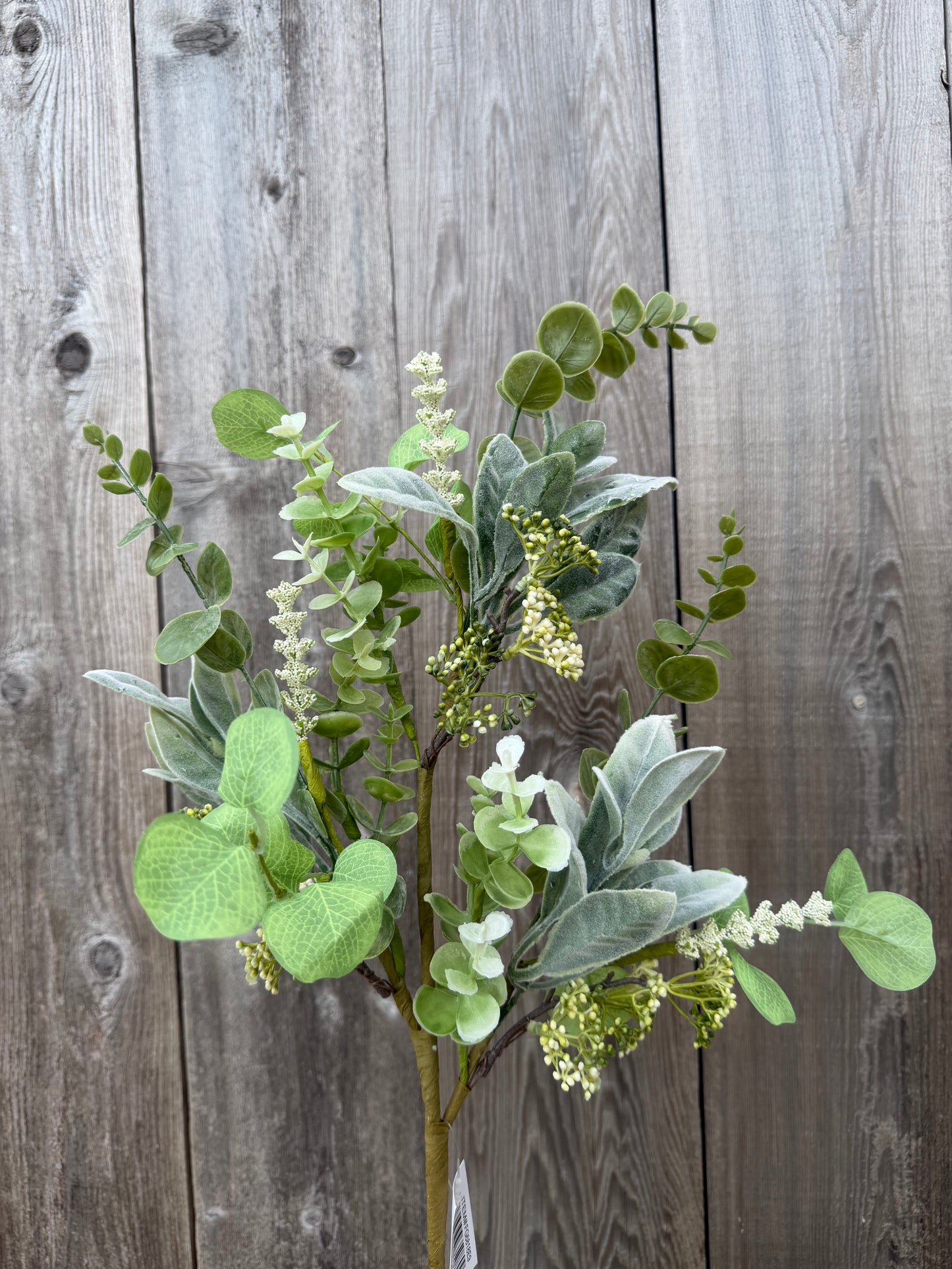 Lambs Ear/ Eucalyptus/Berry Spray   FG6818E9