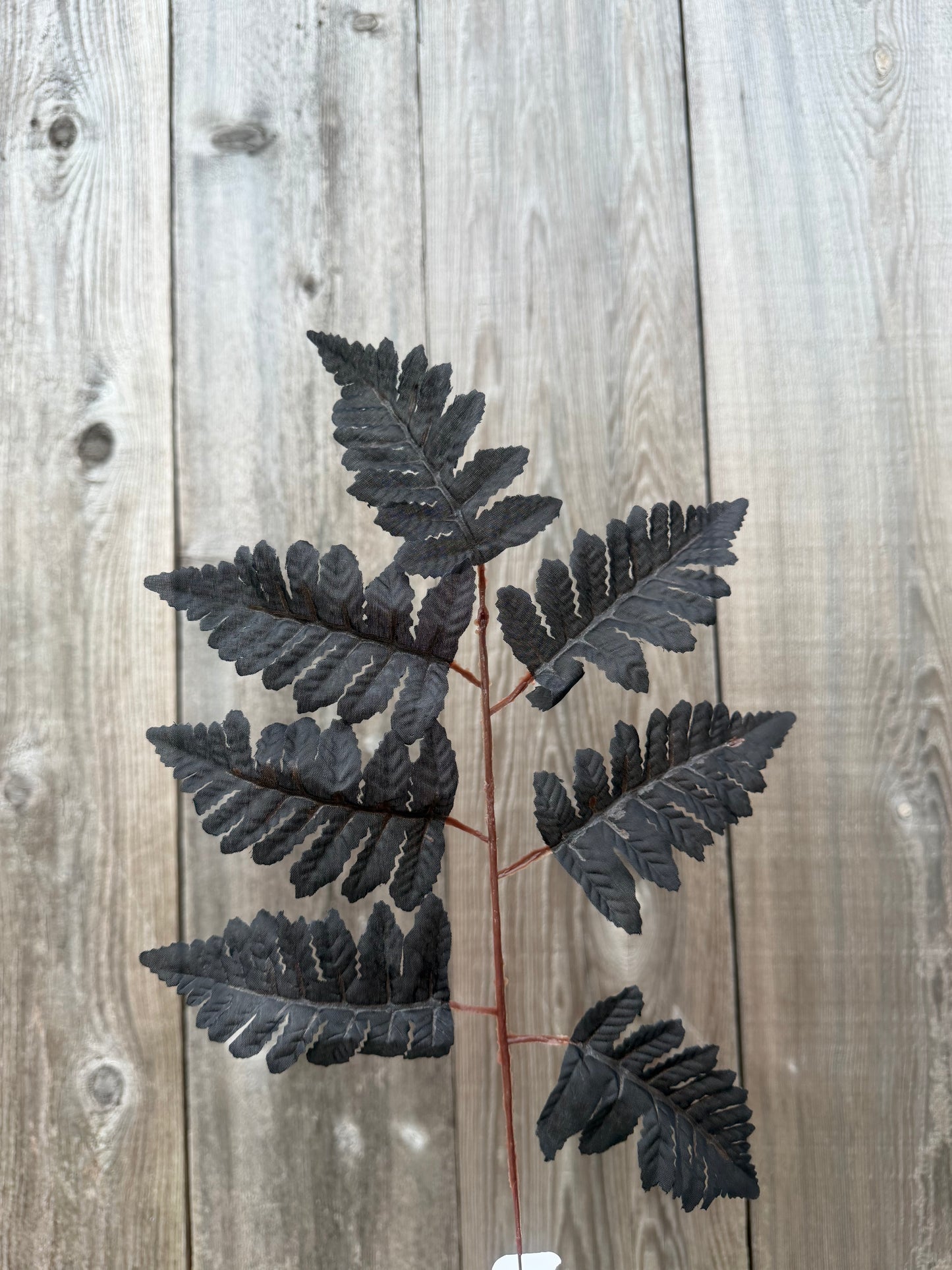 APART SILK LEATHER LEAF BUSH    FG663602 (Black)