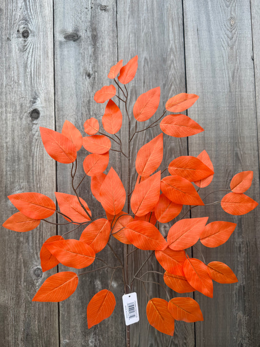 Ficus Spray-BURNT ORANGE (SET OF 6)    FG633735