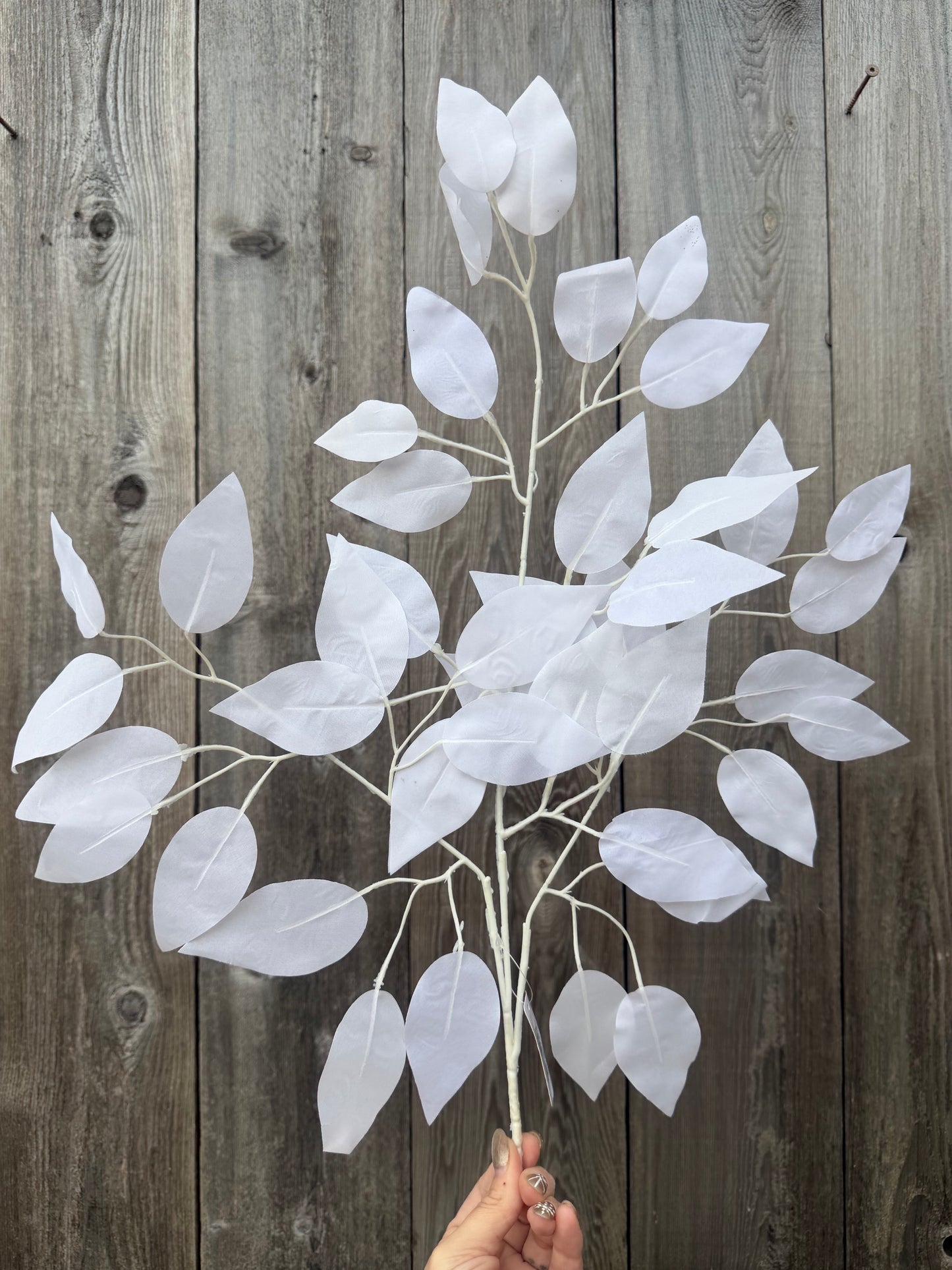 Ficus Spray   FG671727   (WHITE)  FG671727 SET OF SIX