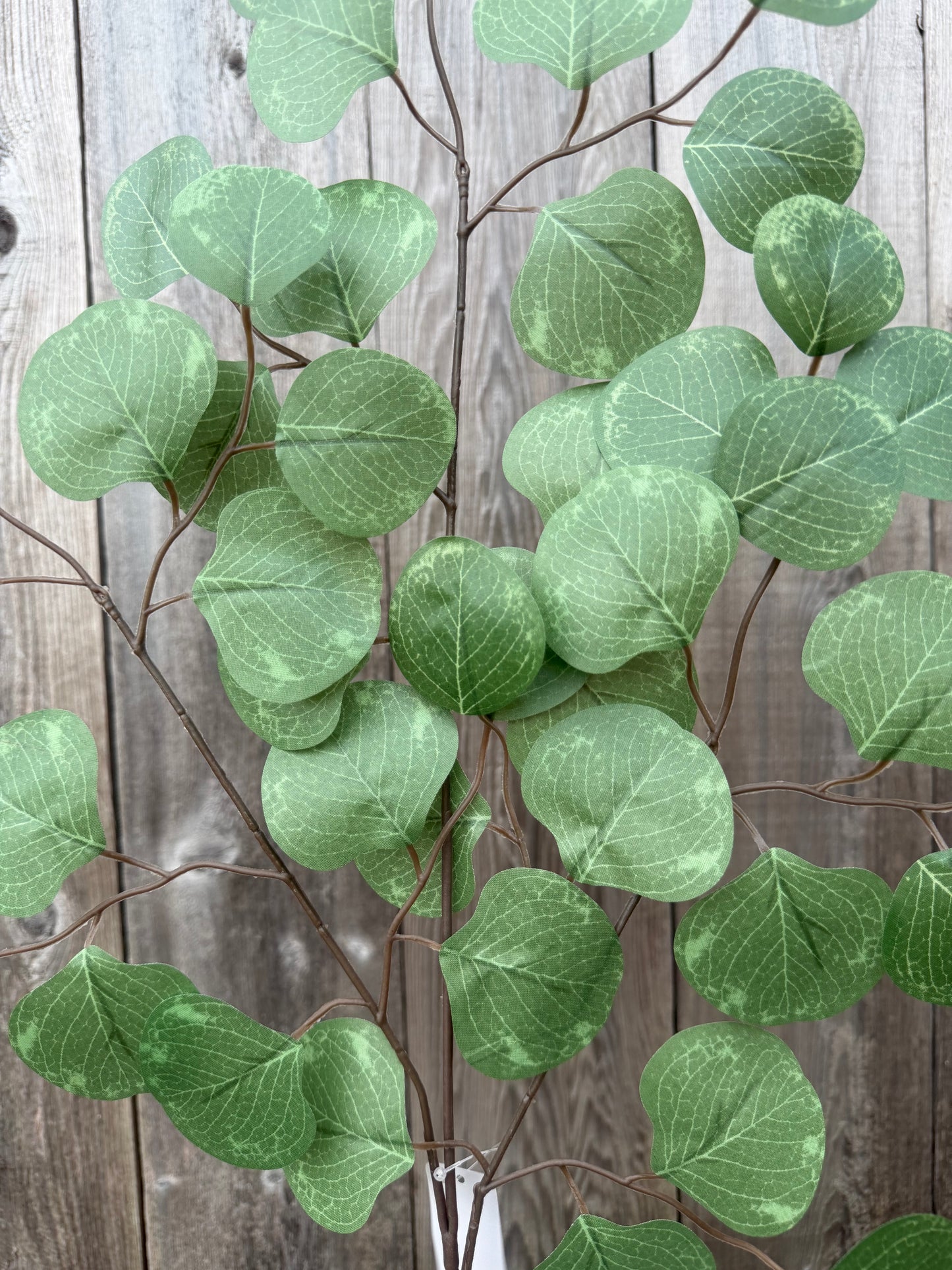 Apple Leaf Spray   FG671630 SET OF SIX