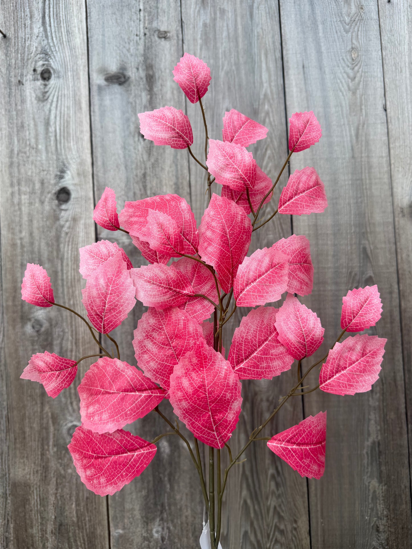 Rose Leaf Spray    FG663311  (Hot Pink)  SET OF SIX