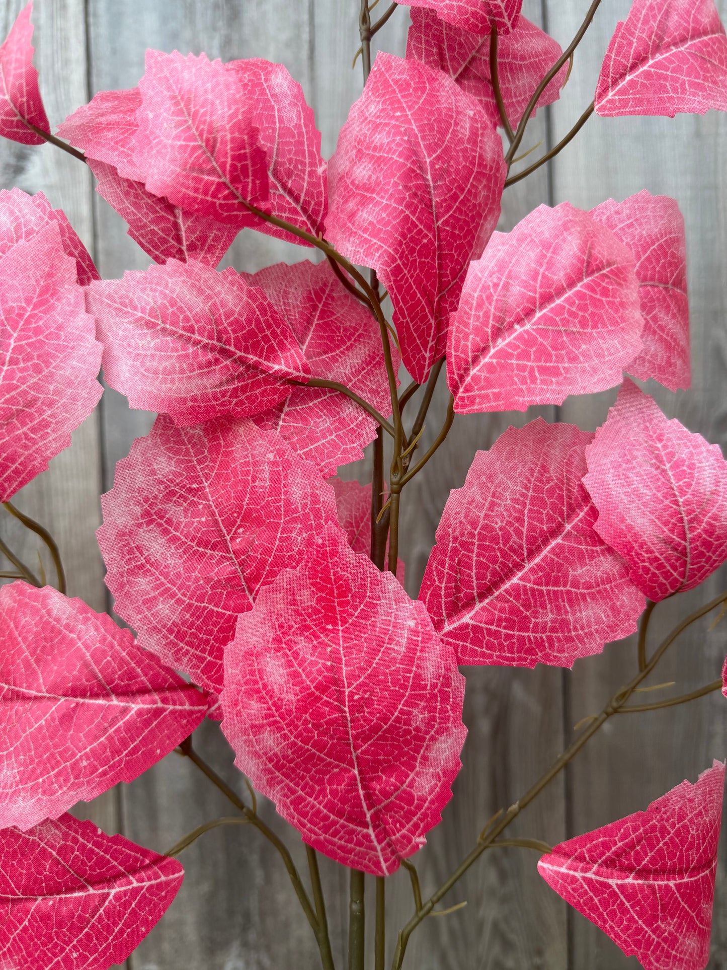 Rose Leaf Spray    FG663311  (Hot Pink)  SET OF SIX