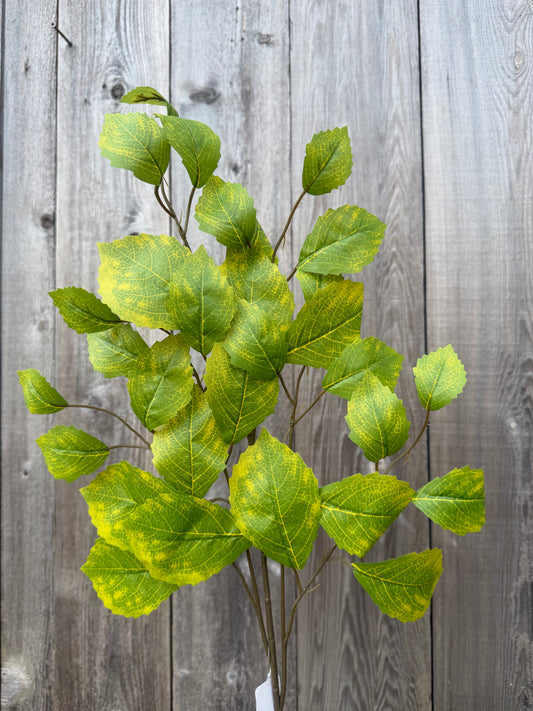 Rose Leaf Spray   FG663347 (YELLOW  GREEN) SET OF SIX