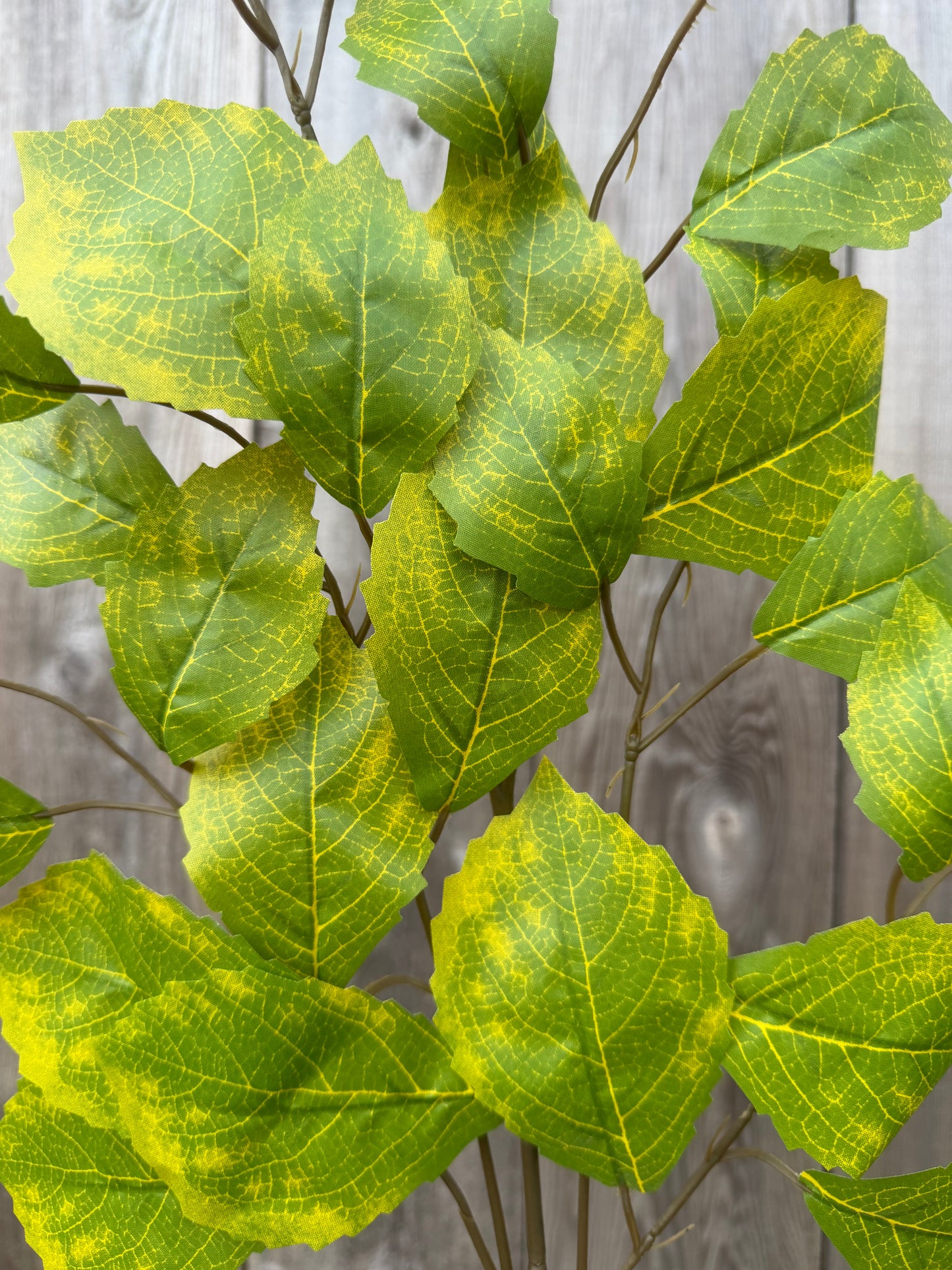 Rose Leaf Spray   FG663347 (YELLOW  GREEN) SET OF SIX