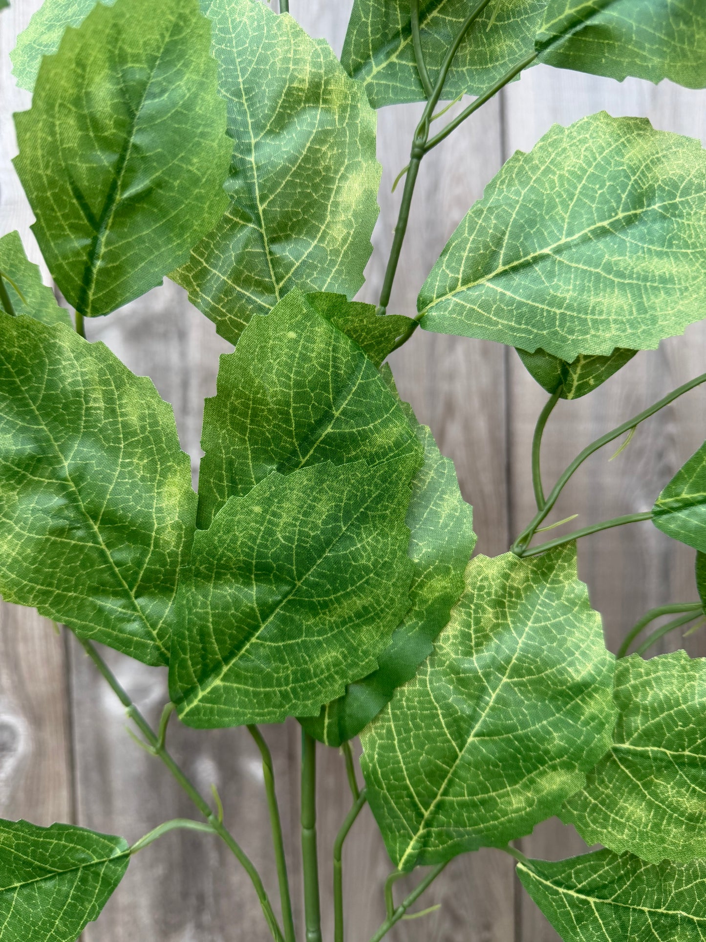 Rose Leaf Spray   FG663345 (DARK  GREEN)  SET OF SIX