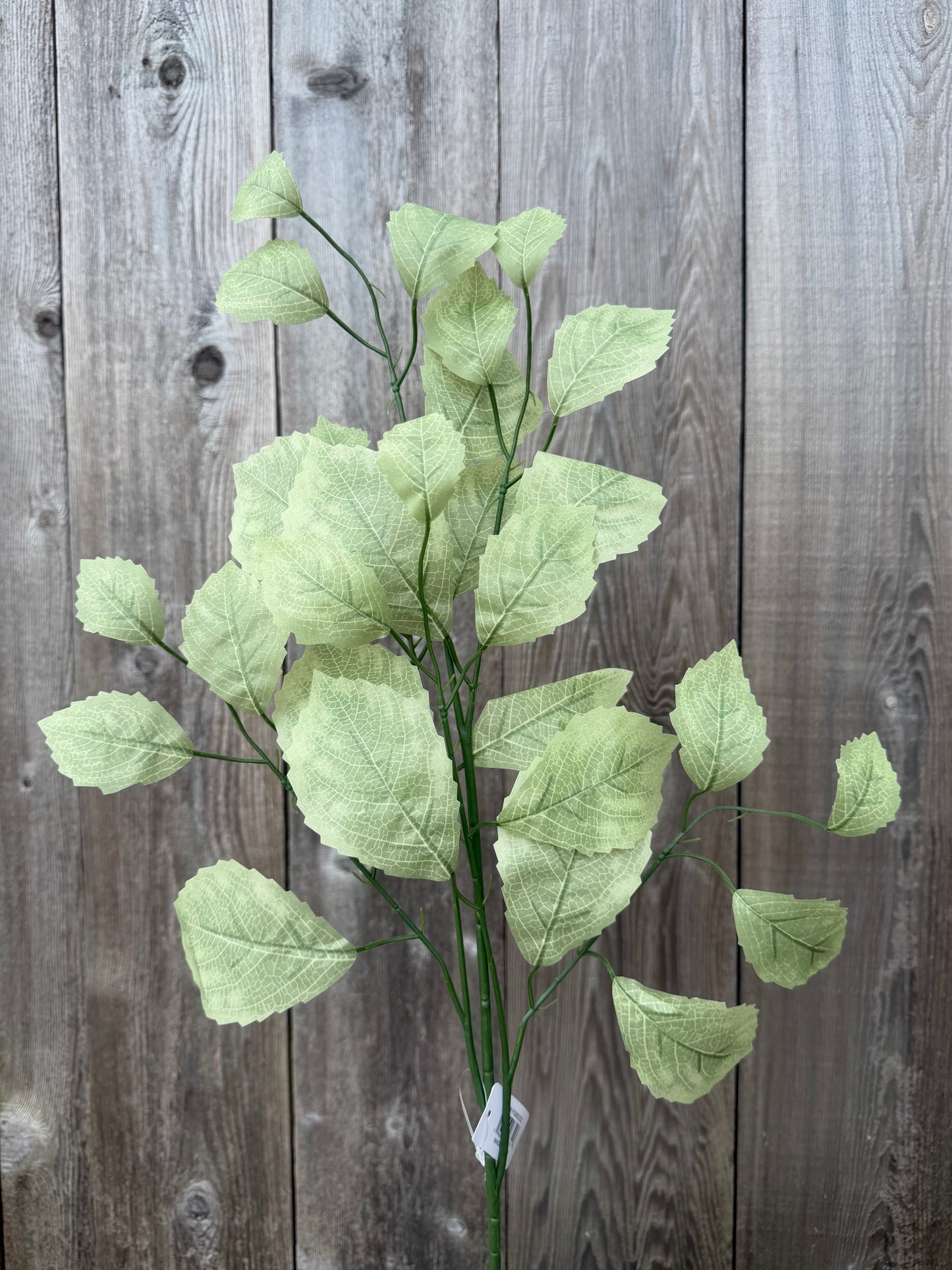 Rose Leaf Spray FG663332 (SAGE GREEN) SET OF SIX