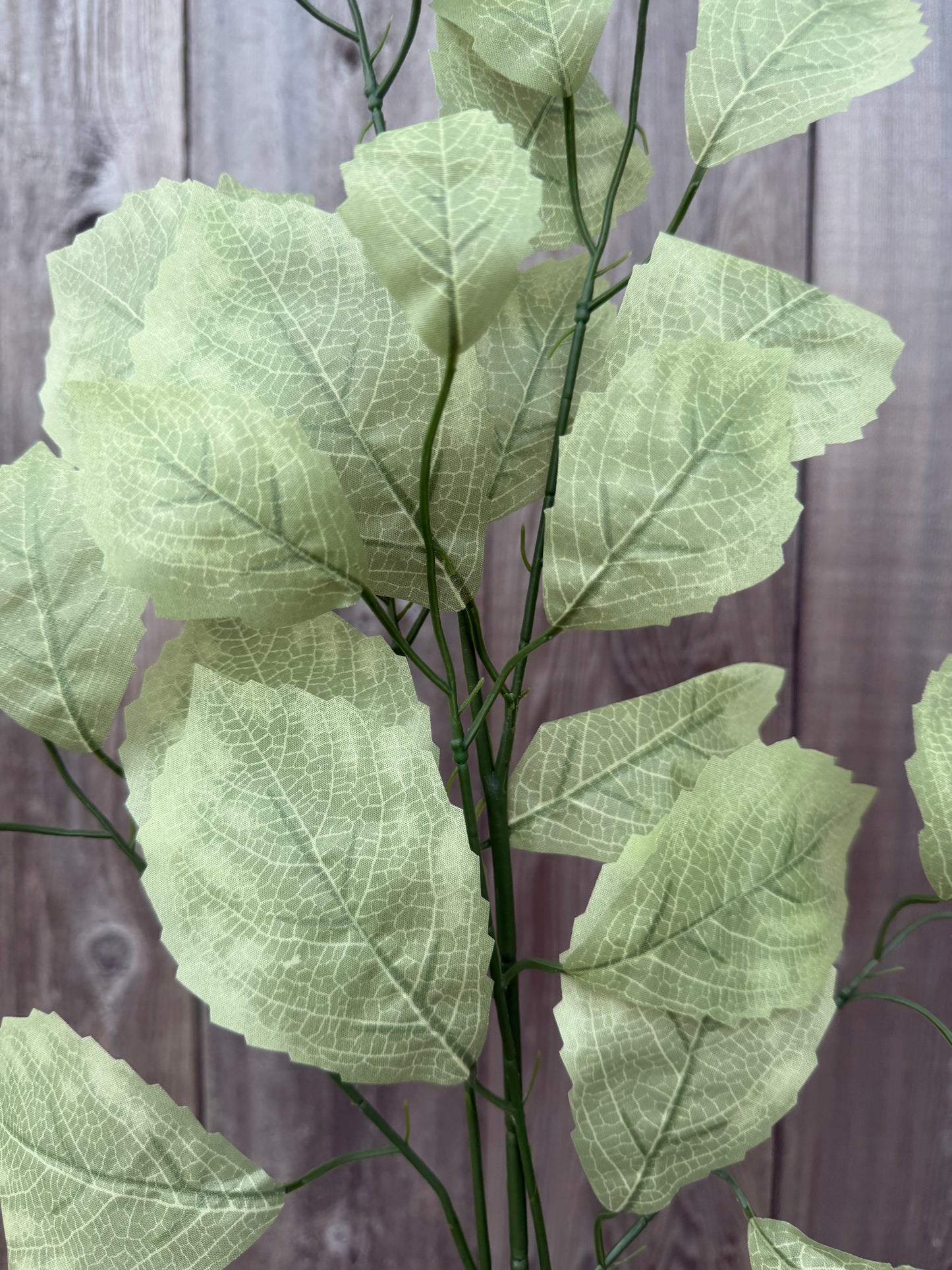 Rose Leaf Spray FG663332 (SAGE GREEN) SET OF SIX