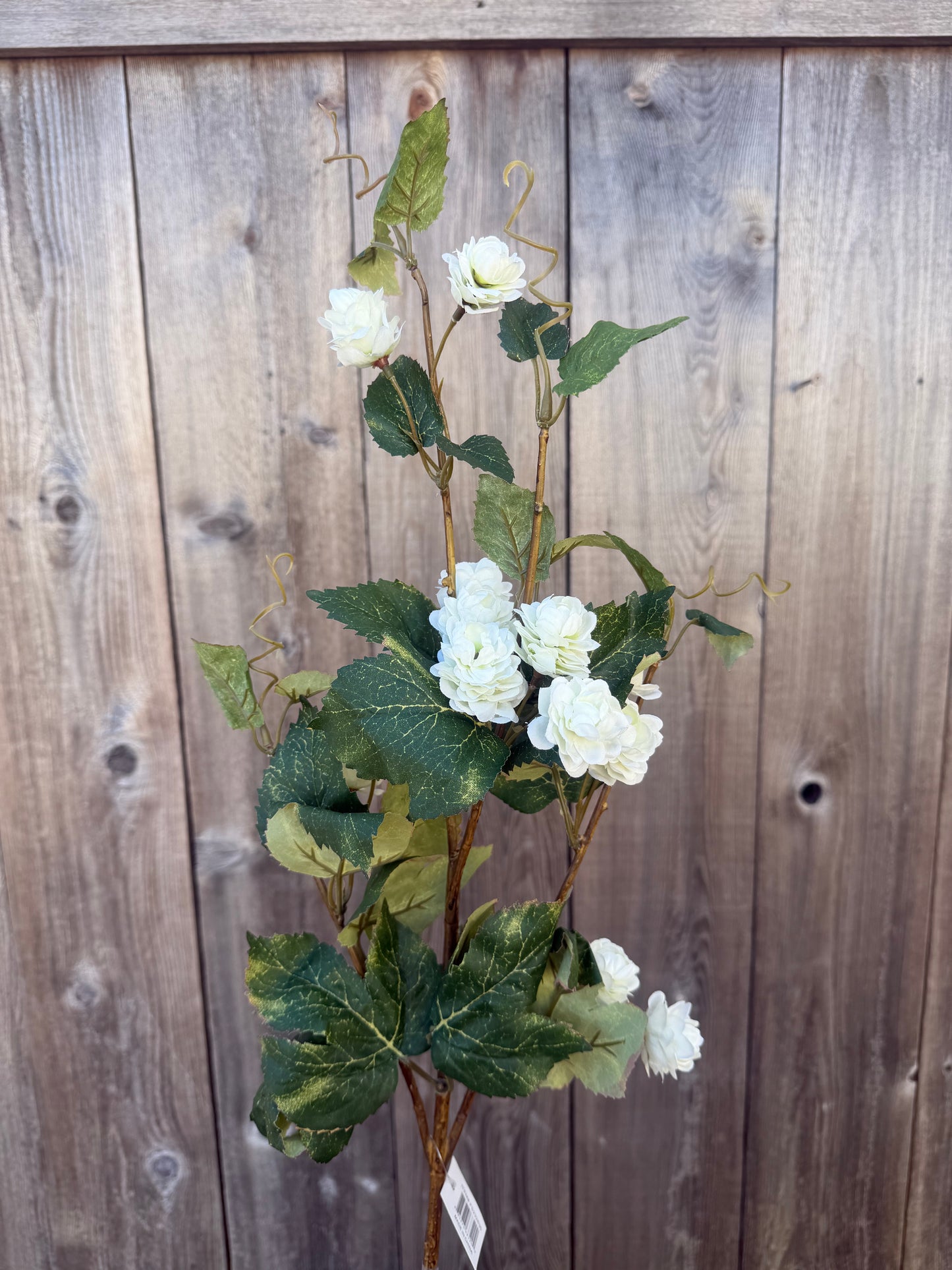 HOPPS FLOWER VINE    FS232630