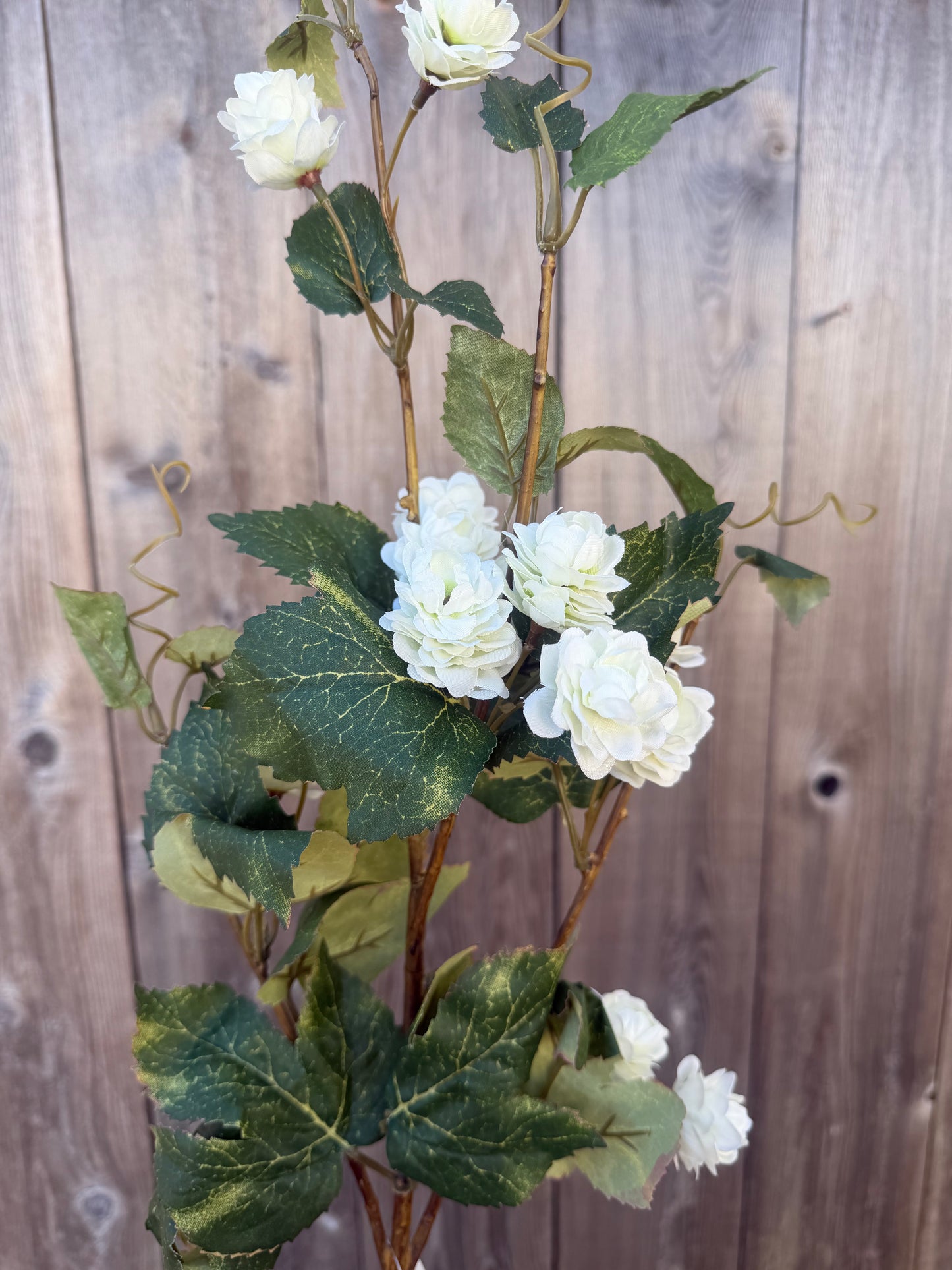 HOPPS FLOWER VINE    FS232630