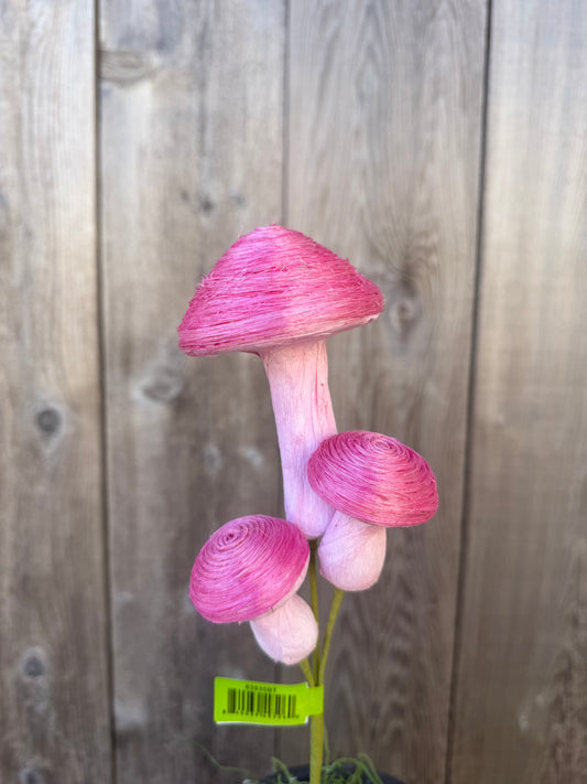 Sisal Mushroom Pick   63935BT