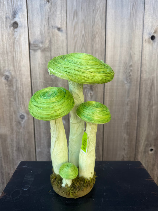 Decor Sisal Mushroom     63937GN