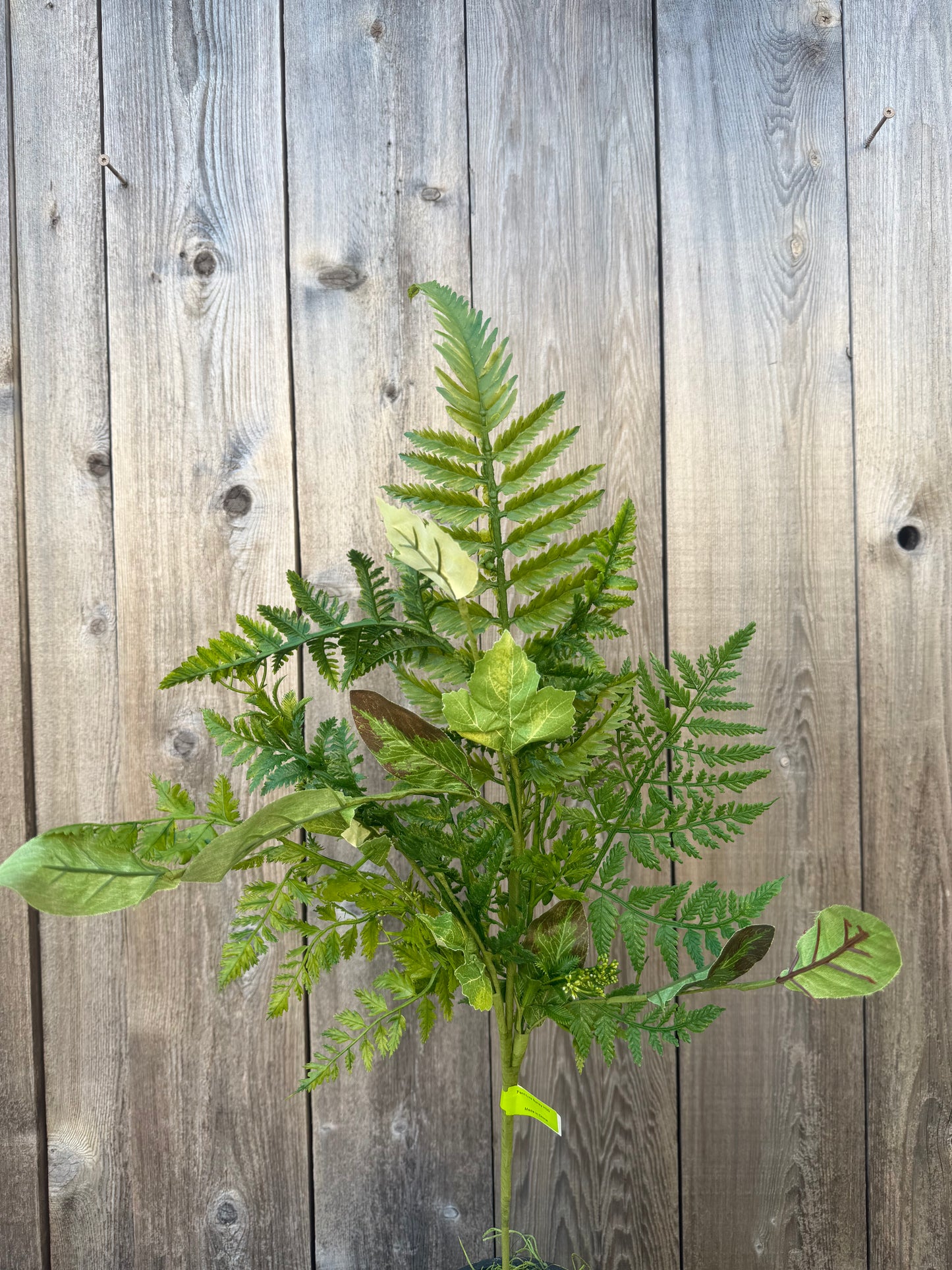 Fern Lvs Spray     63345SP30