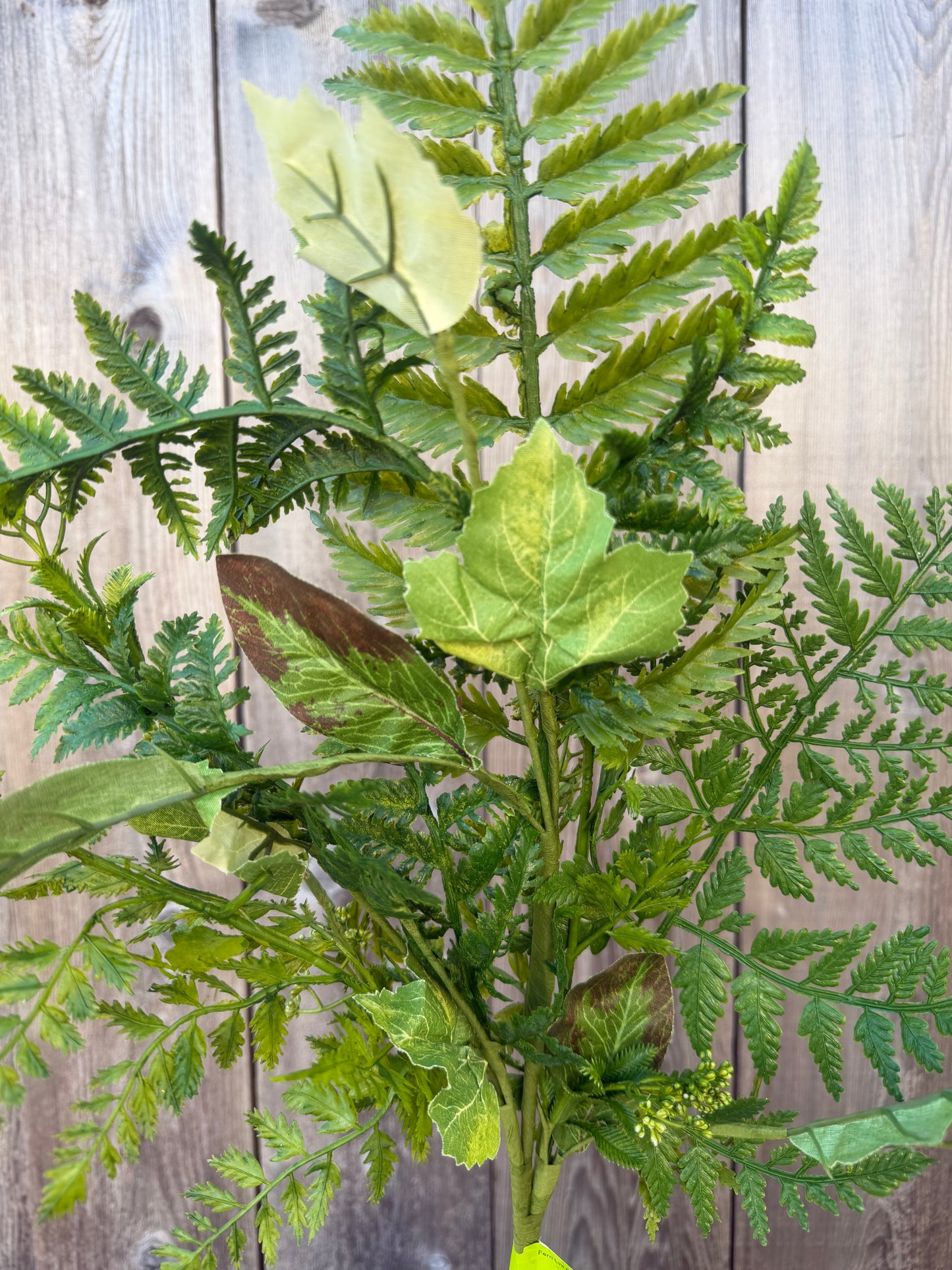 Fern Lvs Spray     63345SP30