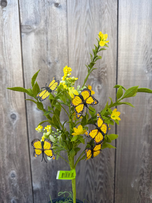 Butterfly Filler Pick    63941YW