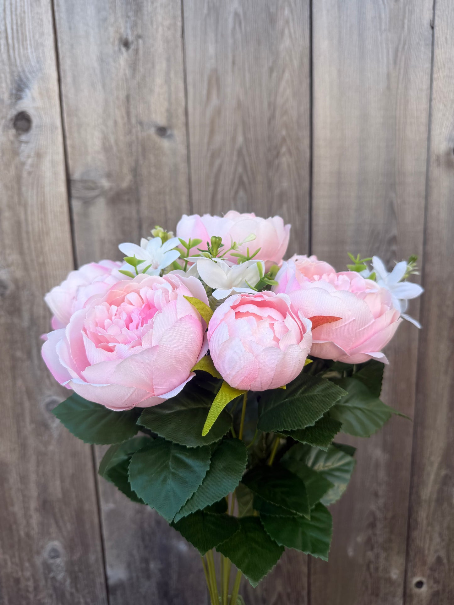 Peony Bush  35123BLUSH