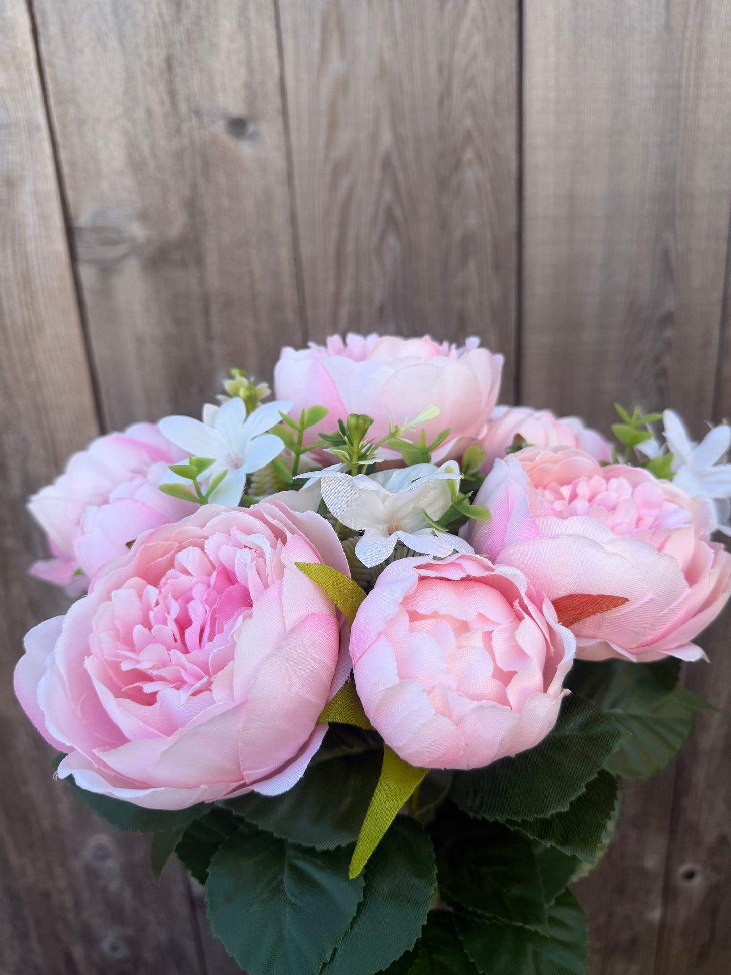 Peony Bush  35123BLUSH