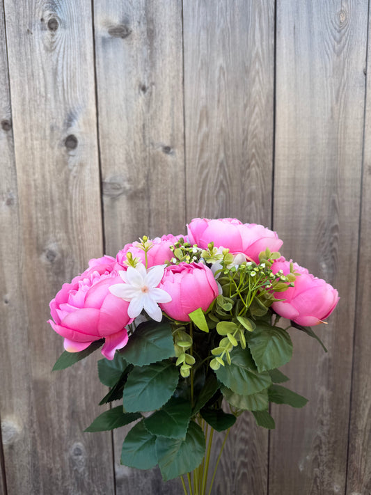 Peony Bush  35123PK