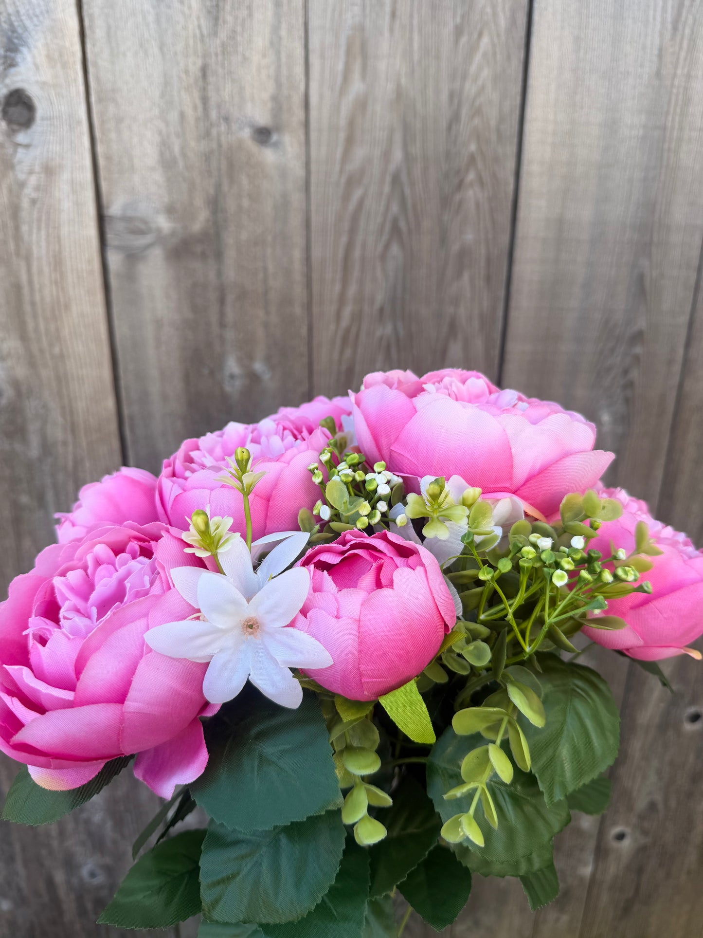 Peony Bush  35123PK