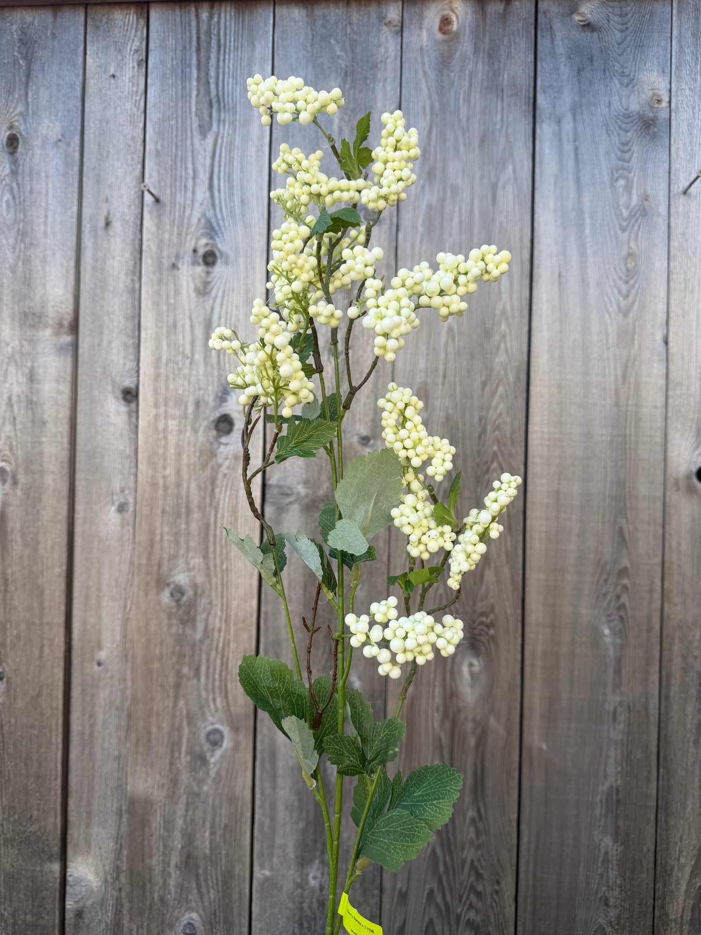 Berry Spray   64019CM