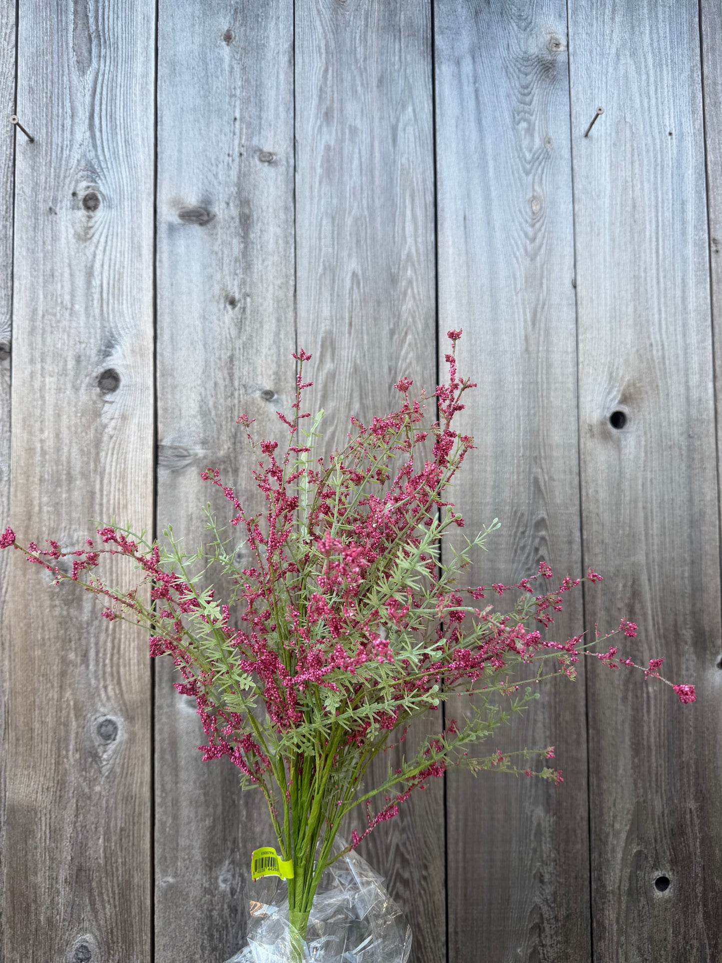 Filler Bush   63097PK