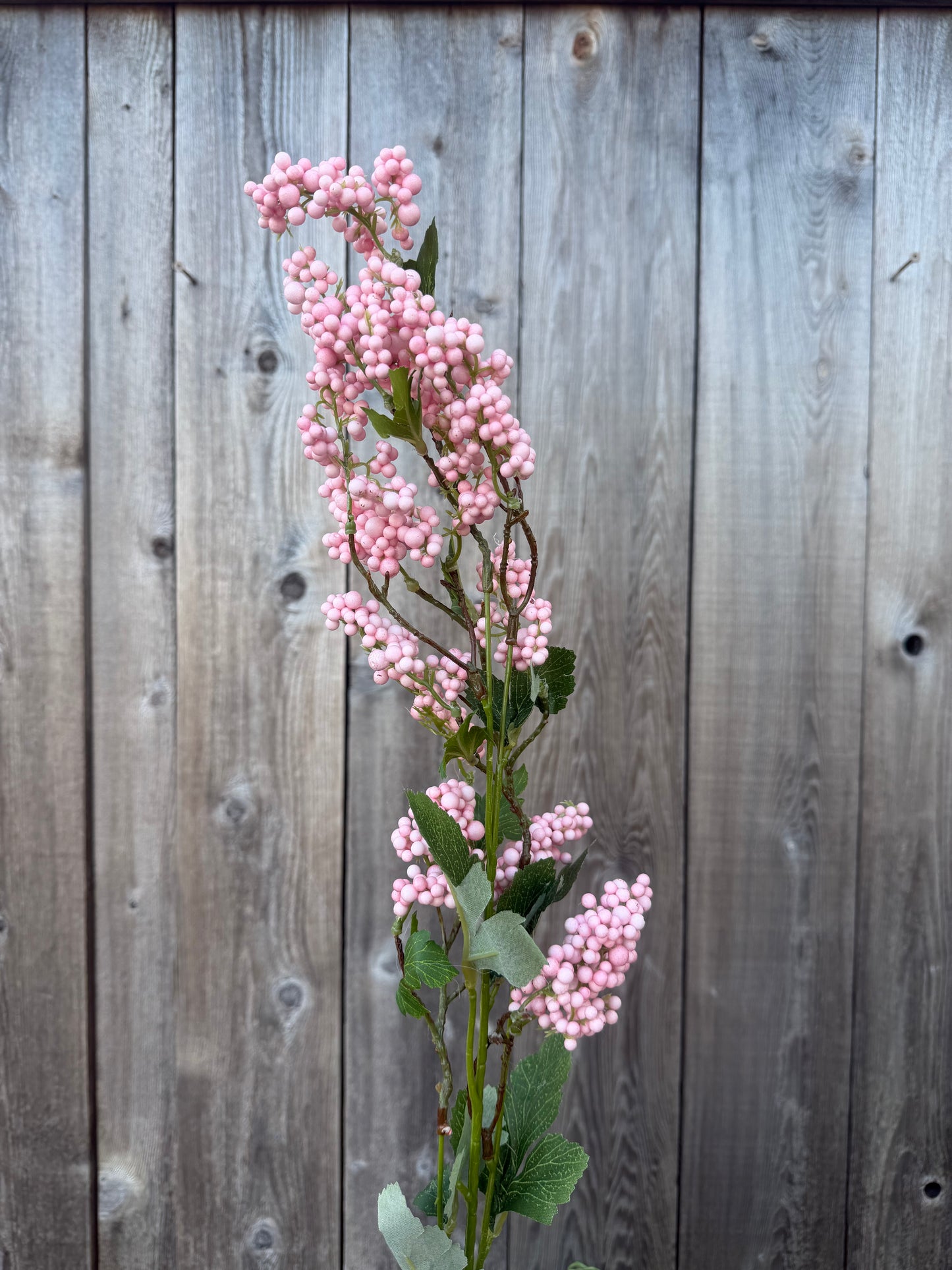 Berry Spray   64019PK