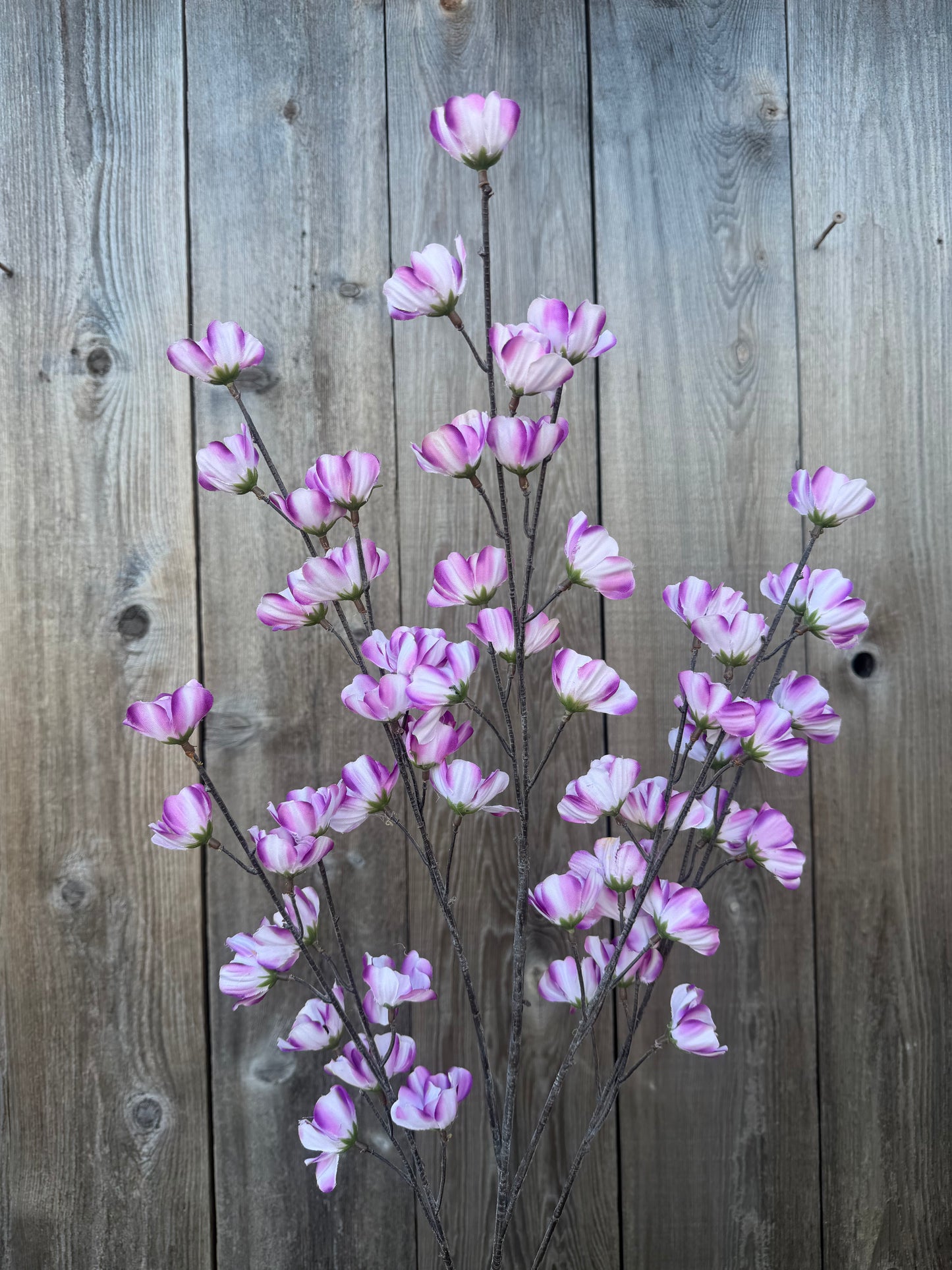 COSMOS SPRAY   85670-LILAC