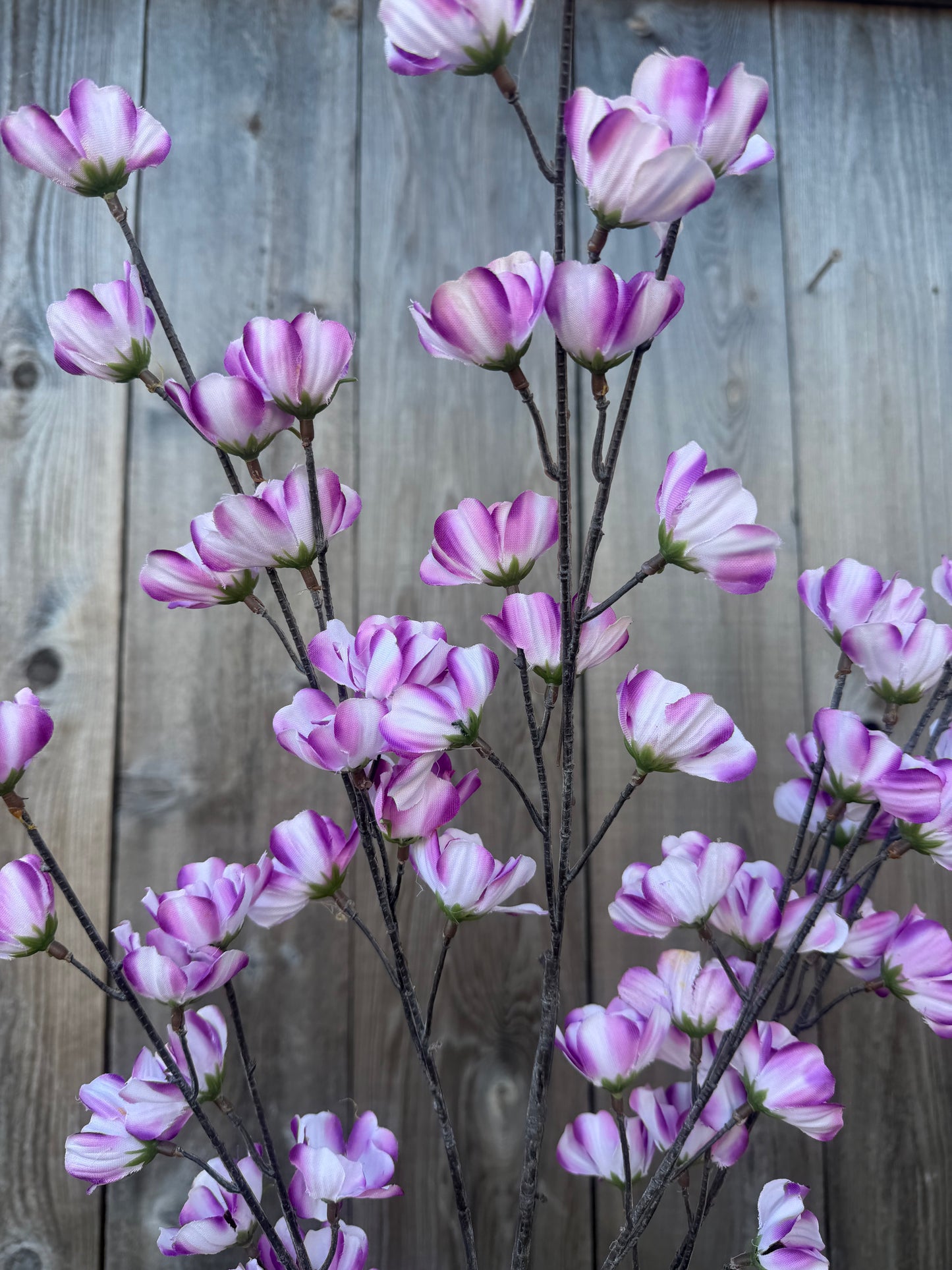 COSMOS SPRAY   85670-LILAC