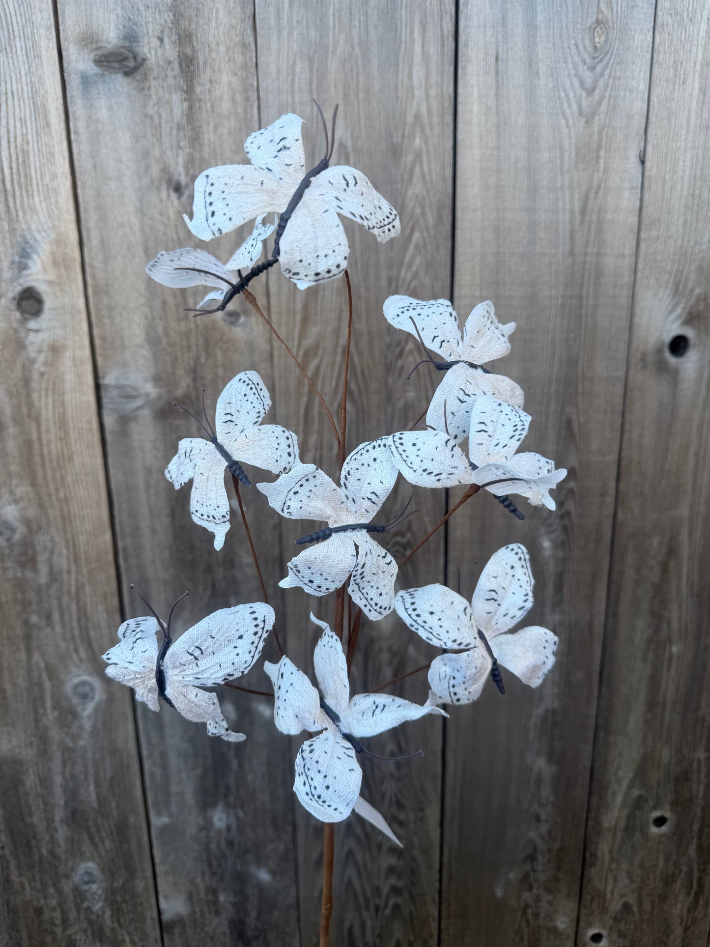 BUTTERFLY SPRAY   65519-CR