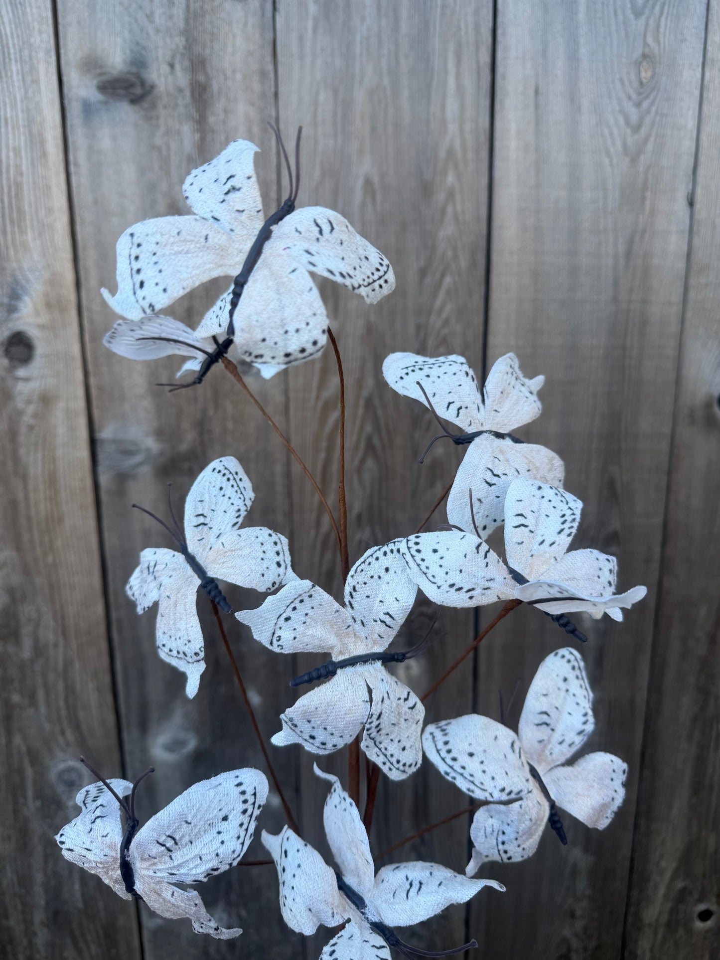 BUTTERFLY SPRAY   65519-CR