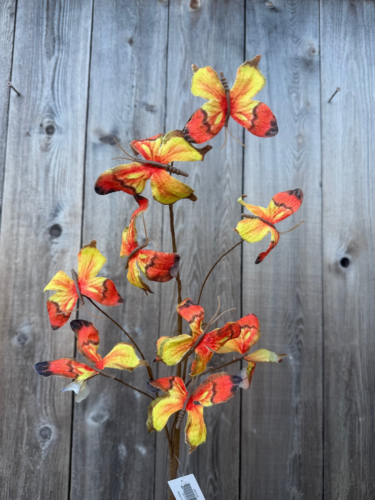 BUTTERFLY SPRAY   65519-OR