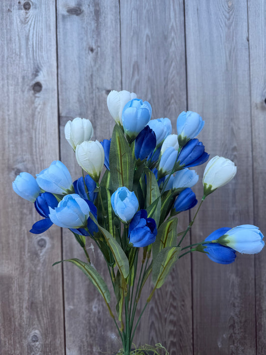 TULIP BUSH   85476-BLCR