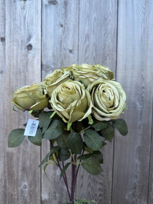 ROSE BUSH   85694-GN