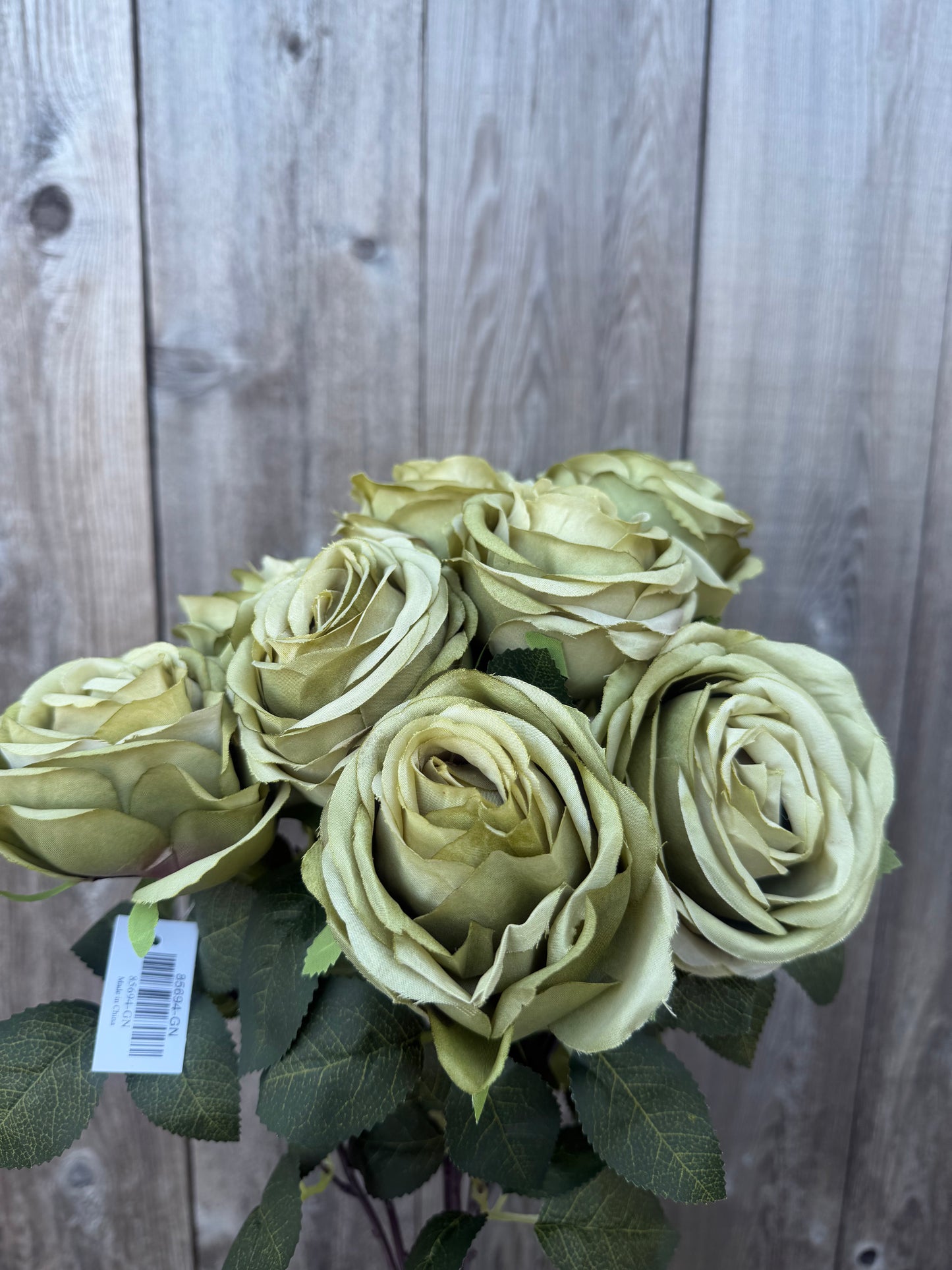 ROSE BUSH   85694-GN