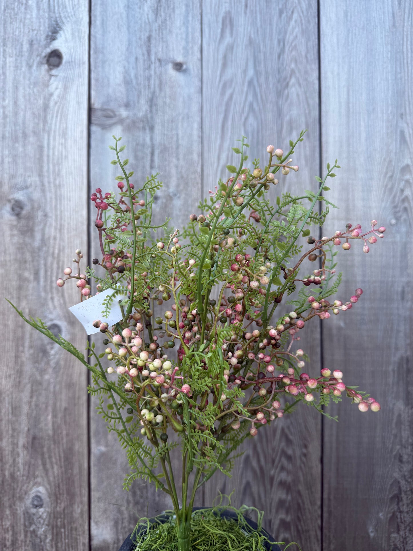BERRY BUSH     85601-PK