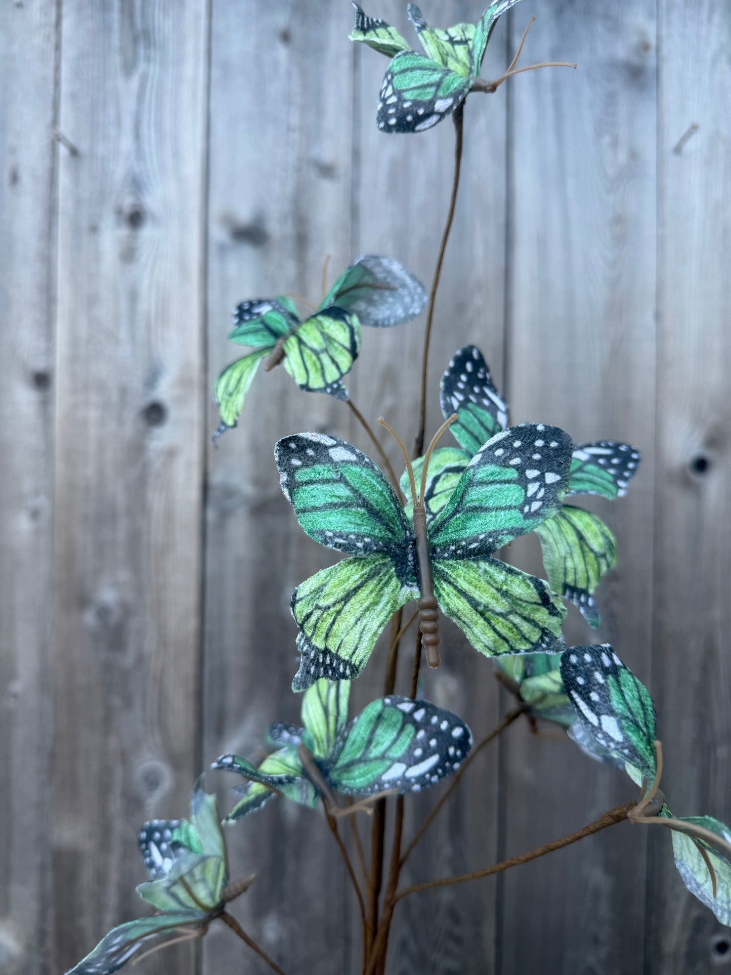 BUTTERFLY SPRAY   65519-DK.GN