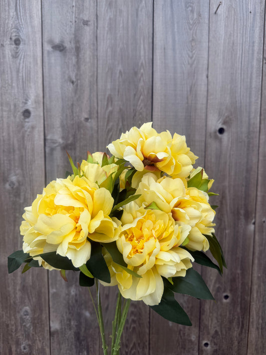 22 IN PEONY BUSH        85571-YEL