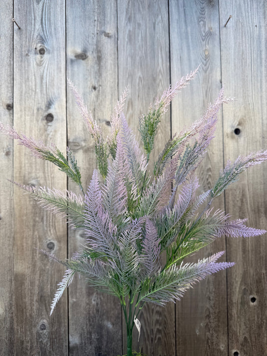 PLS FERN BUSH    57128