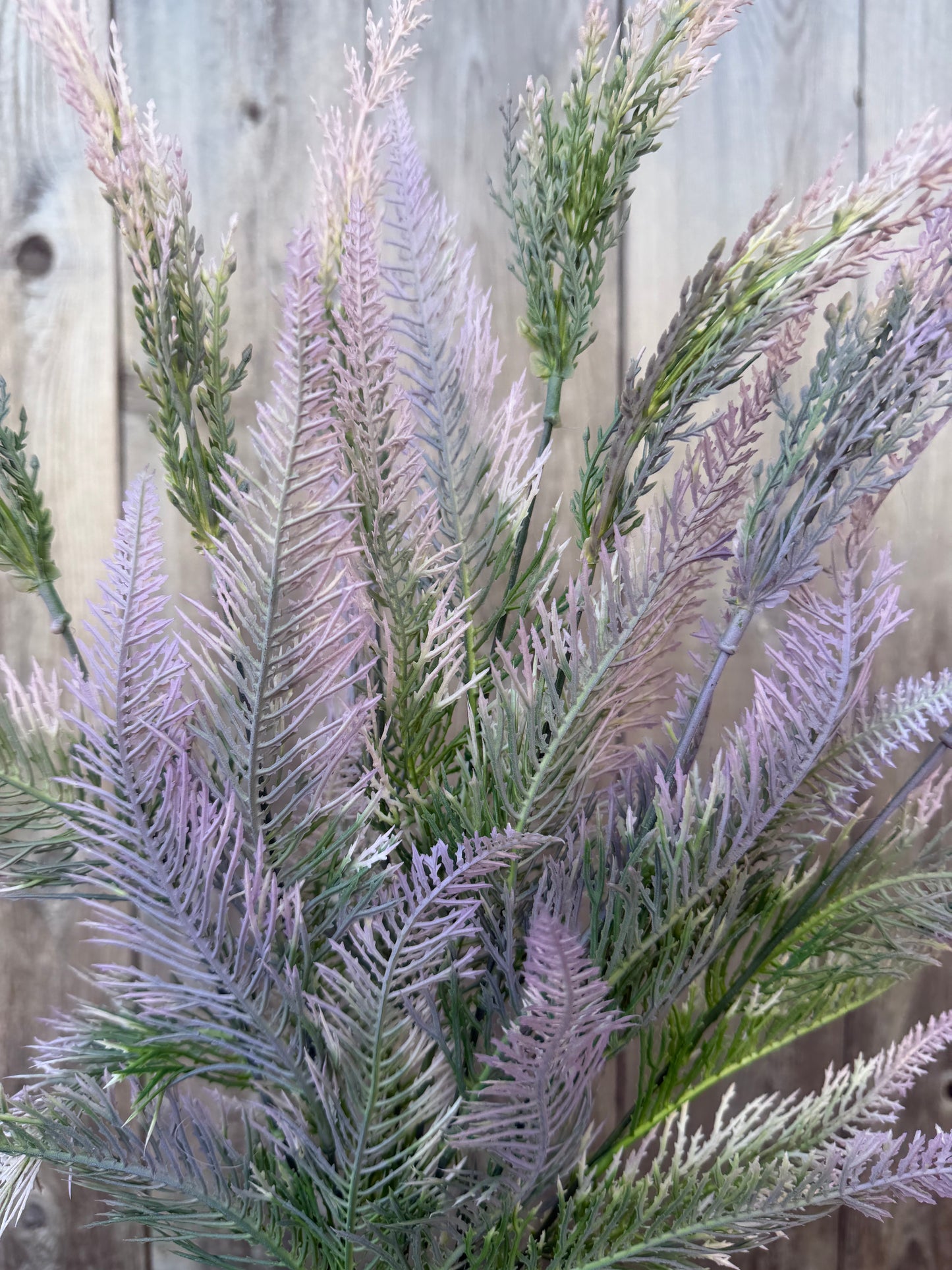 PLS FERN BUSH    57128