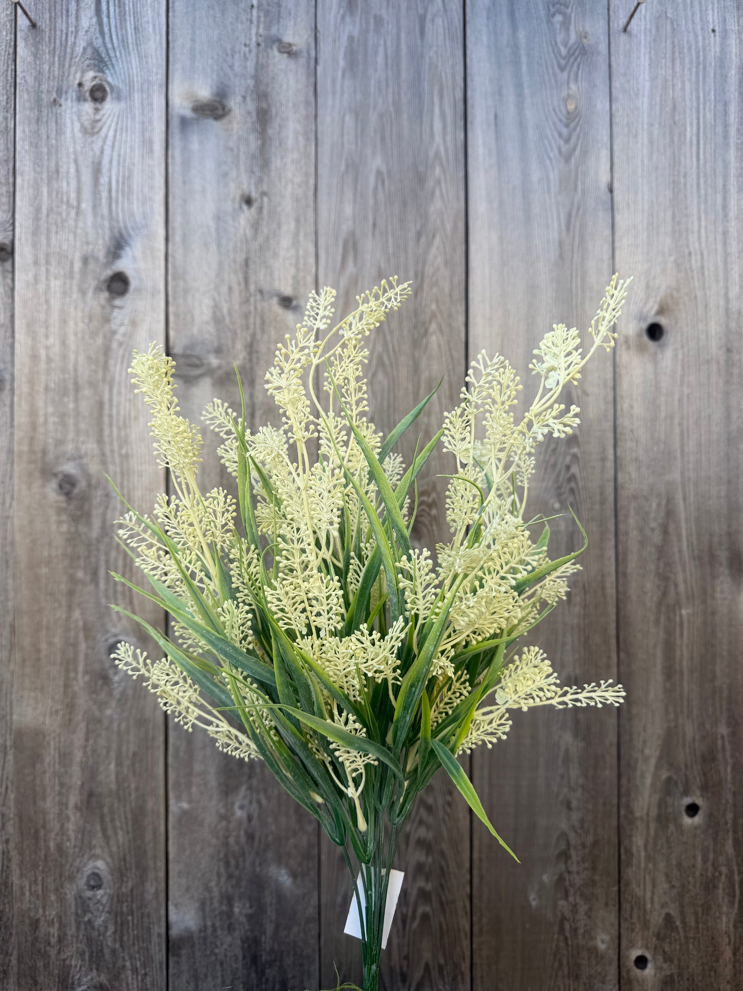 LAVENDER BUSH    80391