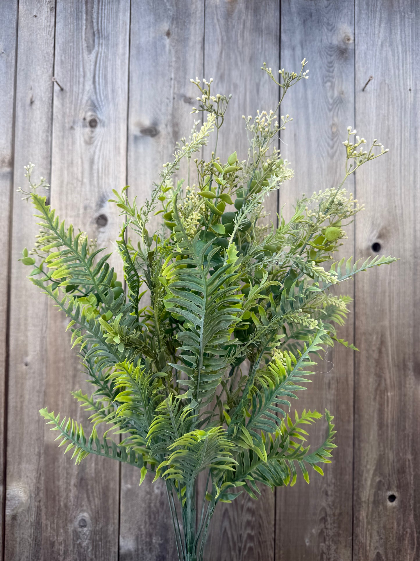 FERN &EUC MX     59702