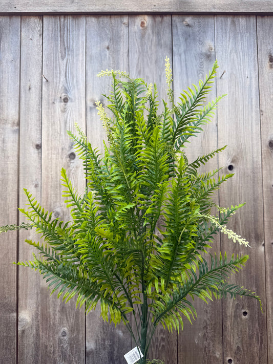 PLS LG MX FERN GRN    57201