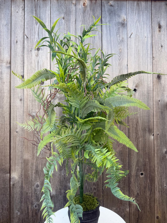 MIX GRASS    FGRN    57852