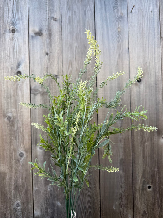 GRASS W/LAV    59662