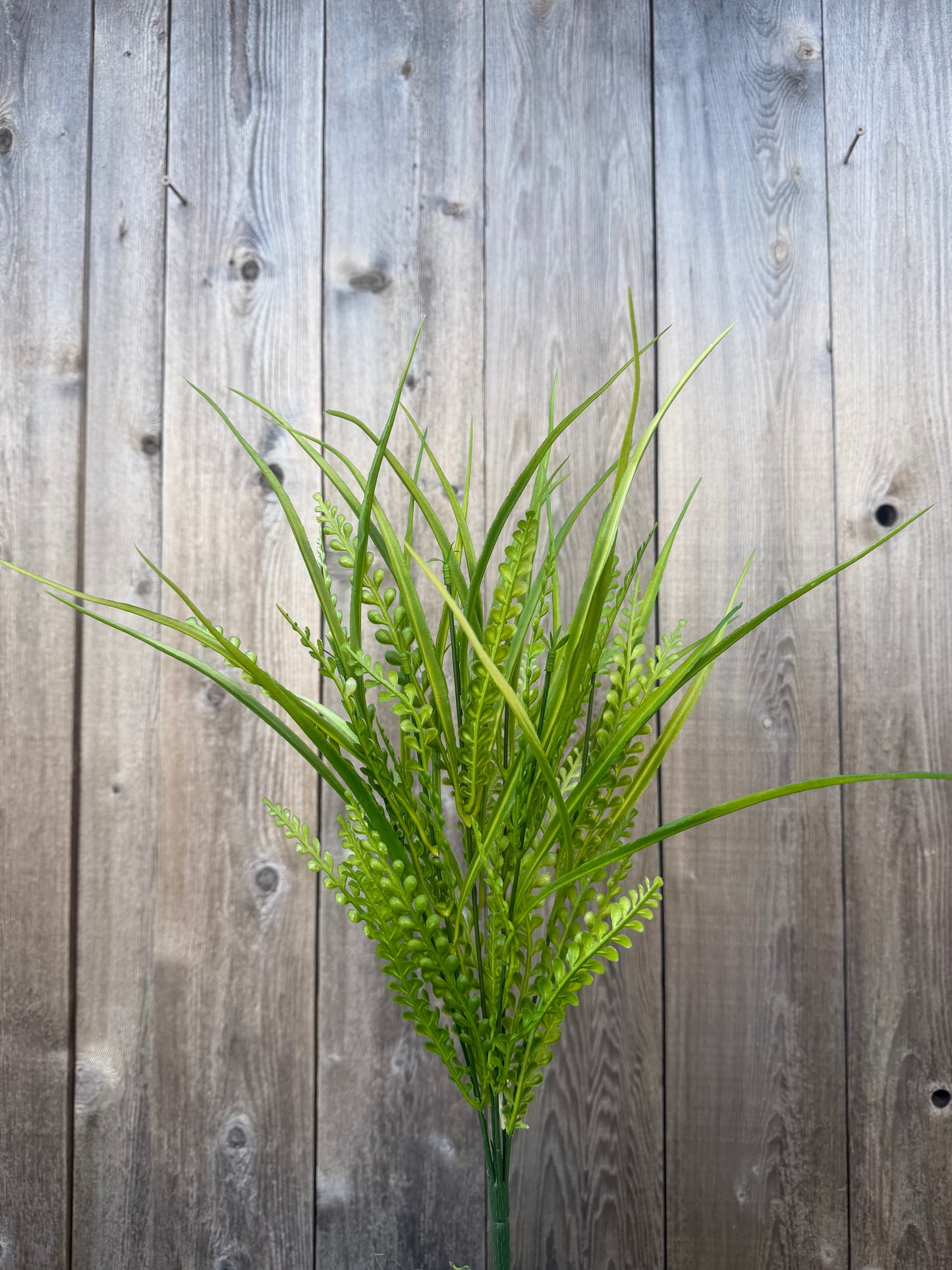 MIX GRASS   GRN   59631