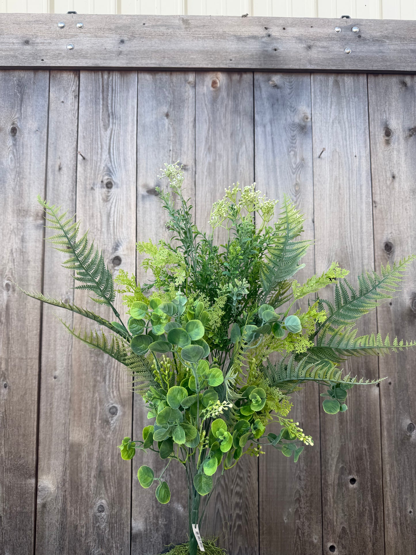 PLS MIX GRASS FSGRN     57502