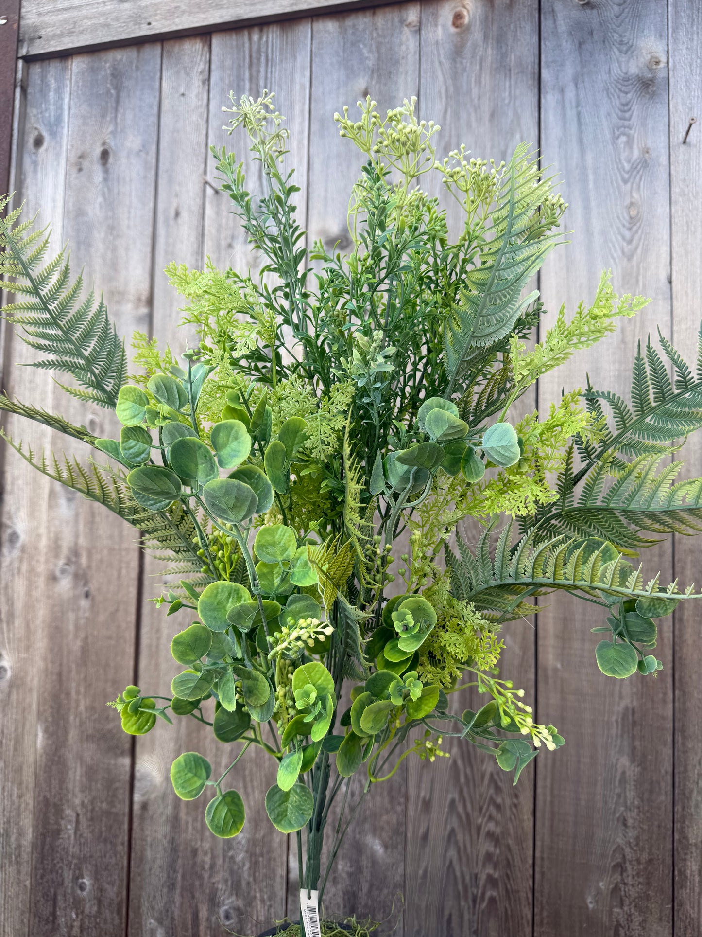 PLS MIX GRASS FSGRN     57502