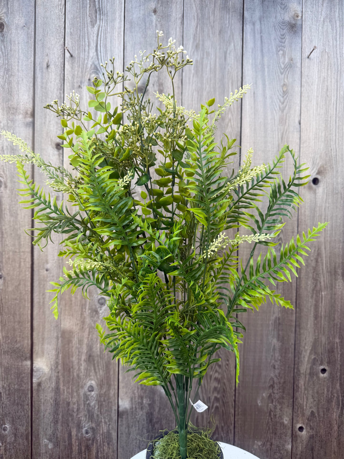 FERN &EUC MX    GRN   59701